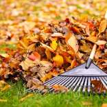 raking-leaves.jpg